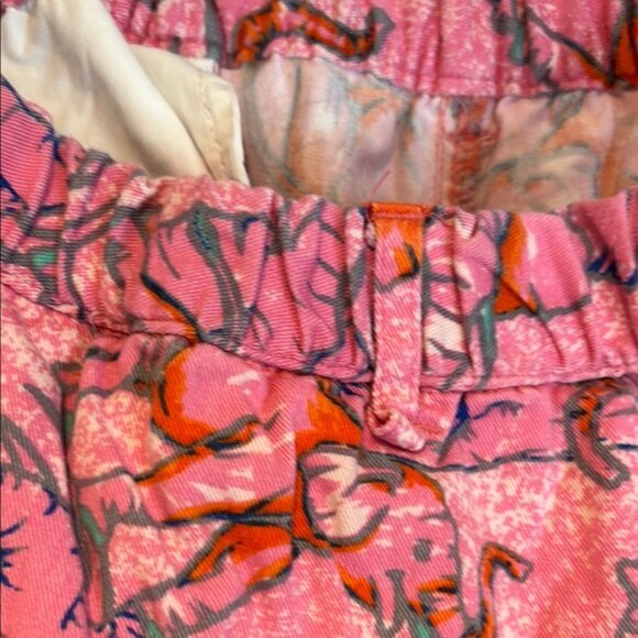 Chubbies men’s Pink elephant Print Shorts size large - Picture 12 of 12